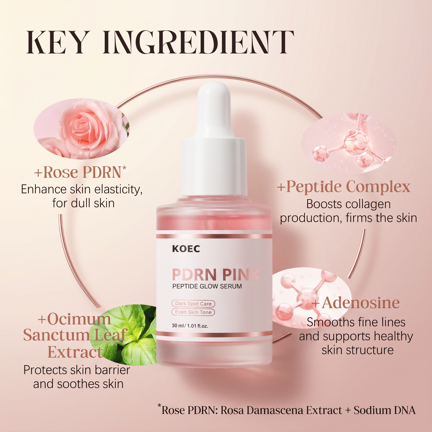 KOEC PDRN Peptide Serum